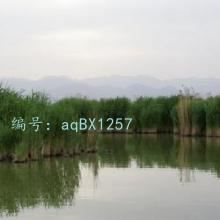 Ŀ